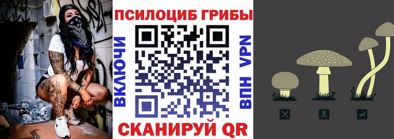 Псилоцибиновые грибы GOLDEN TEACHER  где продают наркотики  Иваново 