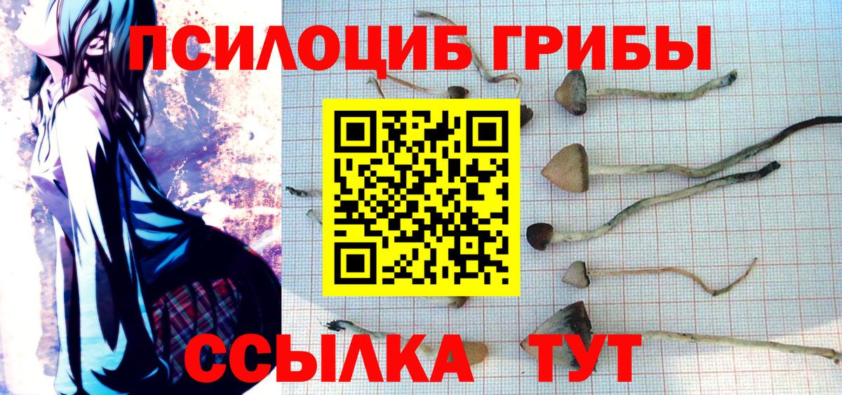 Псилоцибиновые грибы Psilocybe Иваново