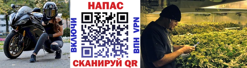 маркетплейс Telegram  Иваново  Бошки марихуана тримм 